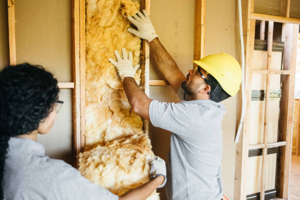 Insulation Replacement Services in Whitewater, WI